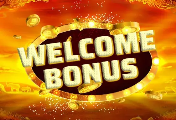 Boomerang Neukundenbonus